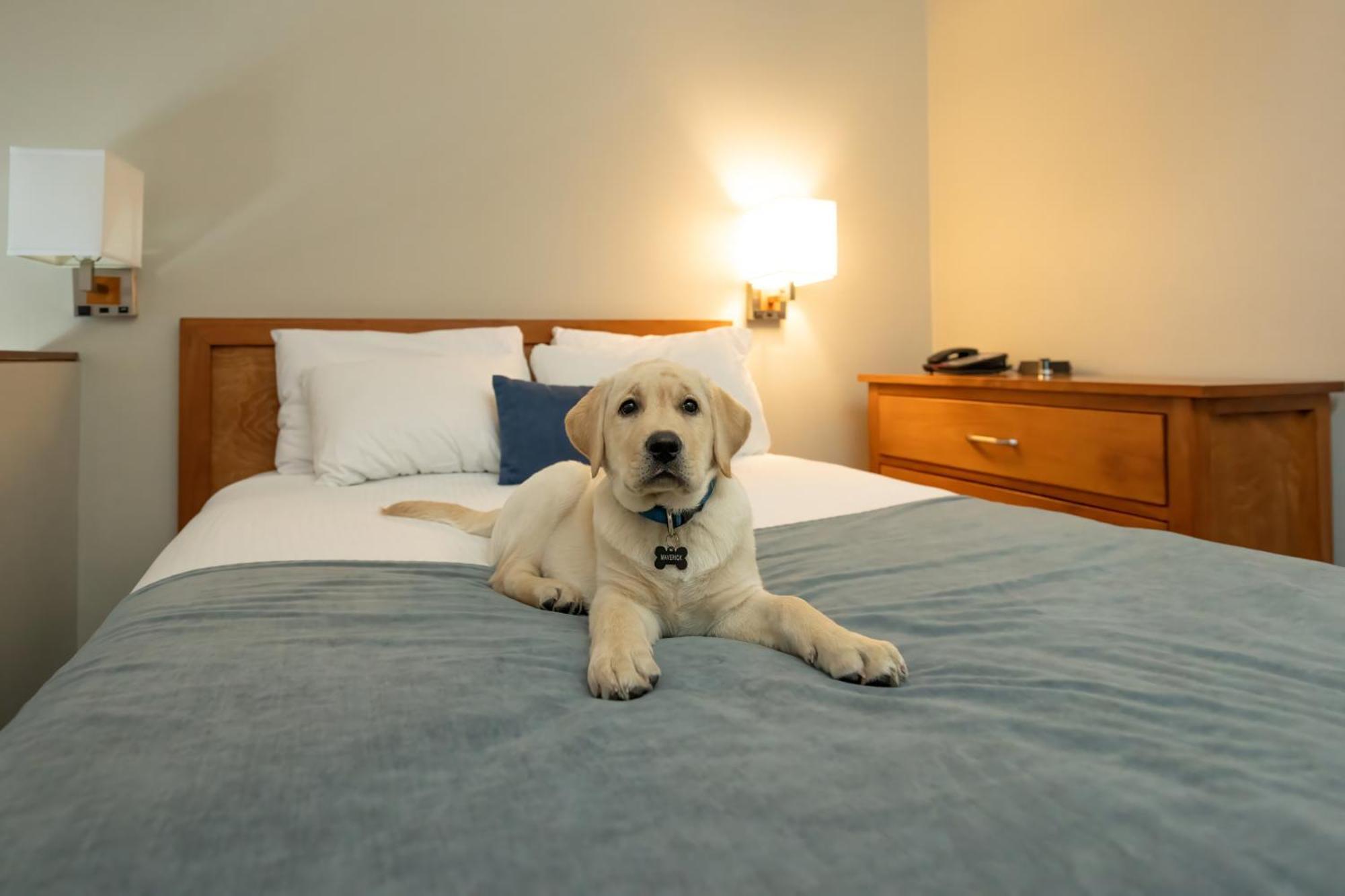 Whistler Village Inn & Suites Εξωτερικό φωτογραφία